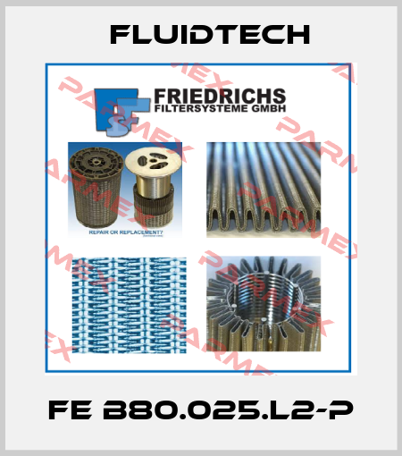 FE B80.025.L2-P Fluidtech