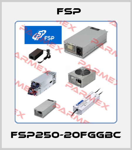 FSP250-20FGGBC Fsp