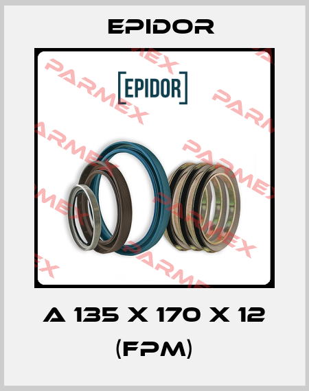 A 135 X 170 X 12 (FPM) Epidor