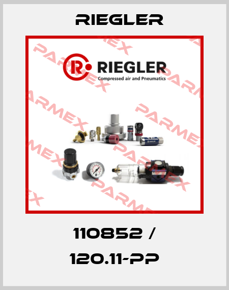 110852 / 120.11-PP Riegler