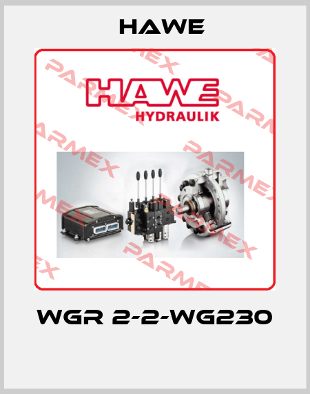 WGR 2-2-WG230  Hawe
