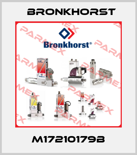 M17210179B Bronkhorst