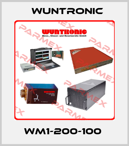WM1-200-100  Wuntronic