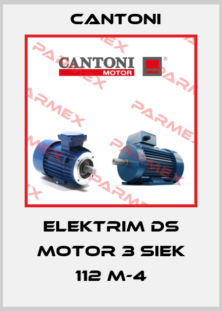 Elektrim DS Motor 3 SIEK 112 M-4 Cantoni