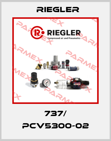 737/ PCV5300-02 Riegler