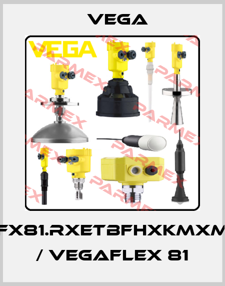 FX81.RXETBFHXKMXM / VEGAFLEX 81 Vega