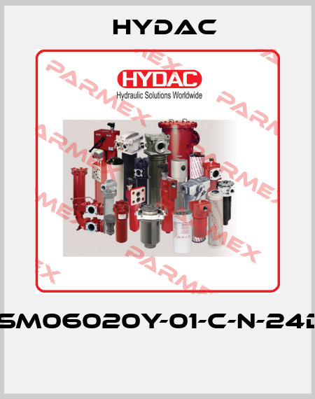 WSM06020Y-01-C-N-24DG  Hydac