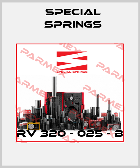 RV 320 - 025 - B Special Springs