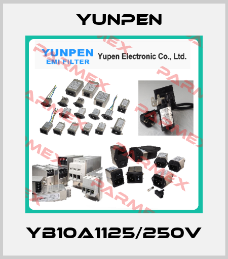 YB10A1125/250V Yunpen