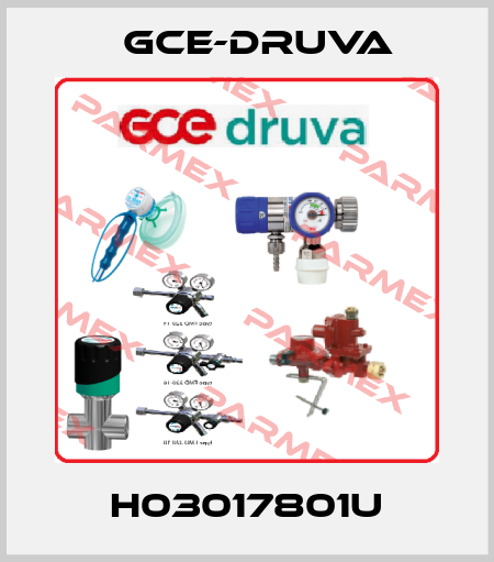 H03017801U Gce-Druva
