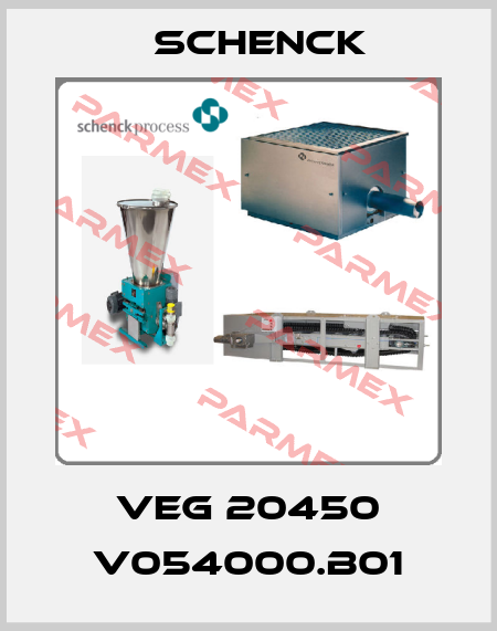 VEG 20450 V054000.B01 Schenck