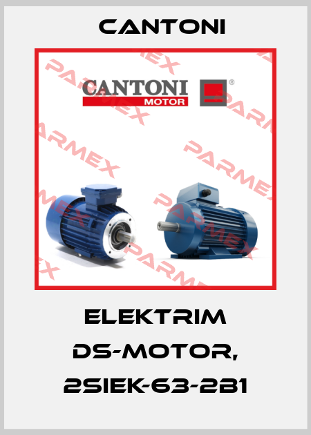 Elektrim DS-Motor, 2SIEK-63-2B1 Cantoni
