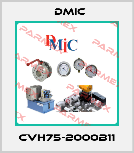 CVH75-2000B11 DMIC