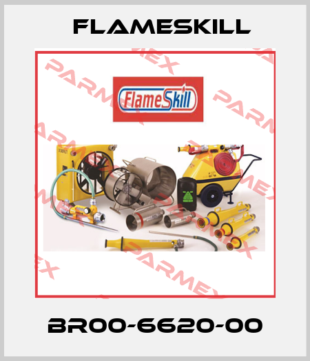 BR00-6620-00 FlameSkill
