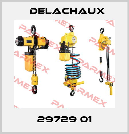 29729 01 Delachaux