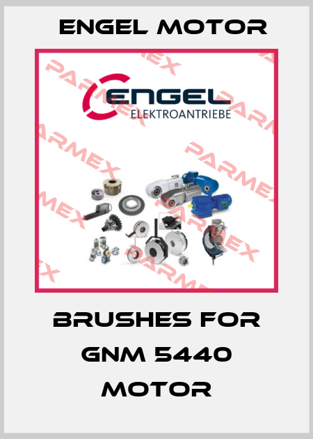 Brushes for GNM 5440 Motor Engel Motor