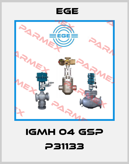 IGMH 04 GSP P31133 Ege