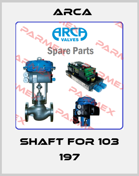shaft for 103 197 ARCA