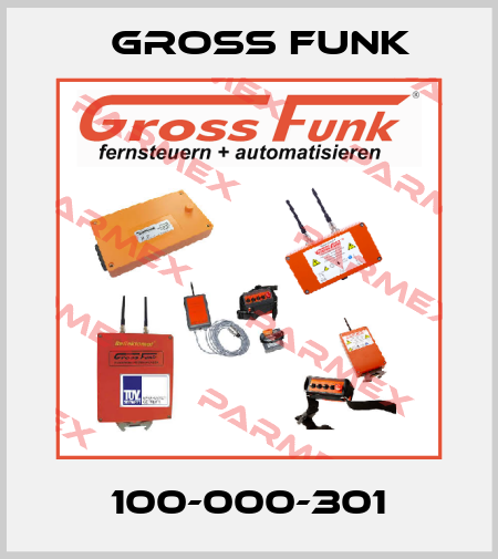 100-000-301 Gross Funk