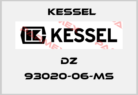 DZ 93020-06-MS Kessel