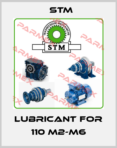 Lubricant for 110 M2-M6 Stm