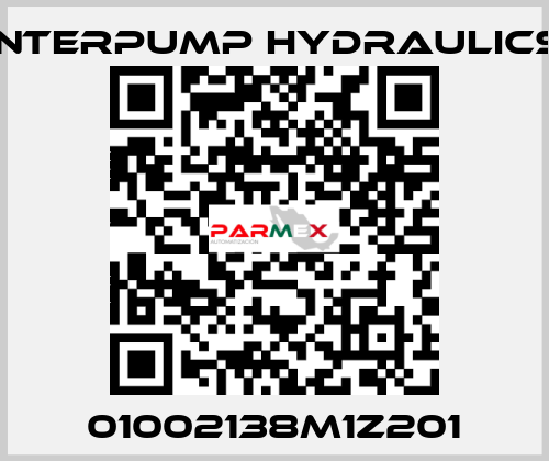 01002138M1Z201 Interpump hydraulics