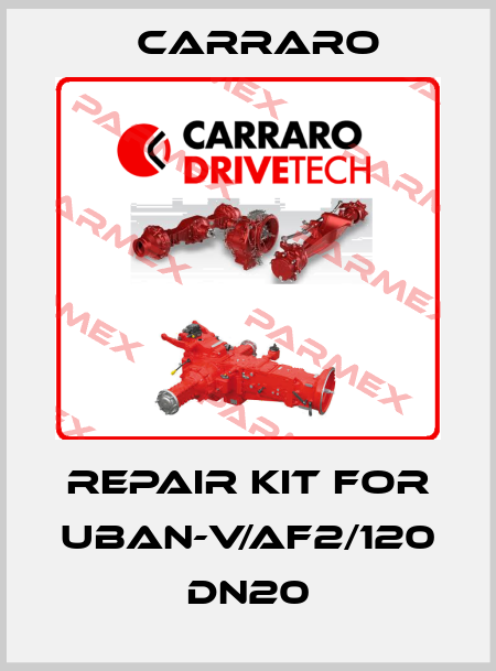 repair kit for UBAN-V/AF2/120 DN20 Carraro