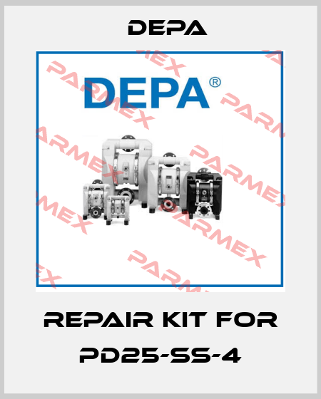 repair kit for PD25-SS-4 Depa