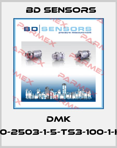 DMK 457-590-2503-1-5-TS3-100-1-K-2-000 Bd Sensors