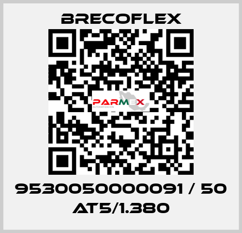 9530050000091 / 50 AT5/1.380 Brecoflex