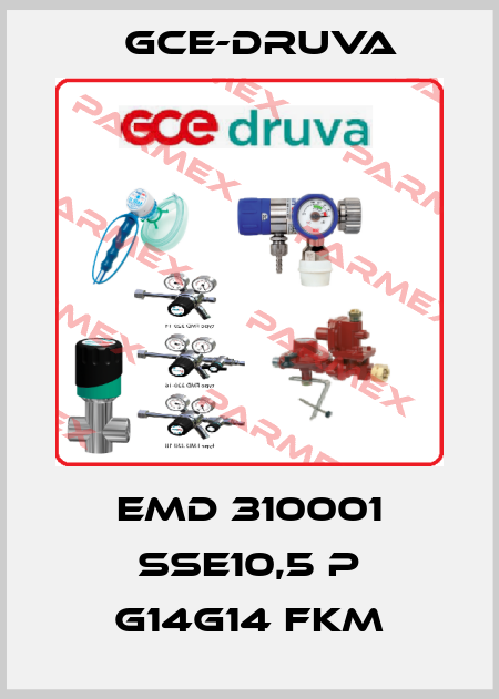 EMD 310001 SSE10,5 P G14G14 FKM Gce-Druva