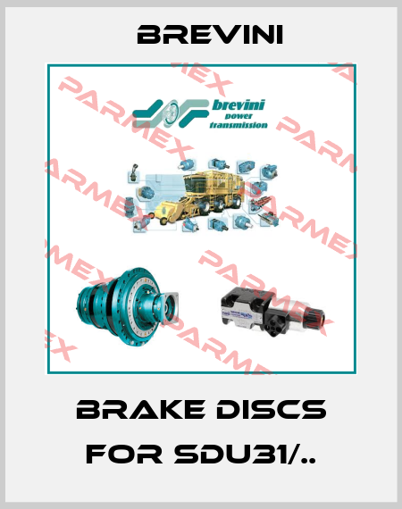 brake discs for SDU31/.. Brevini