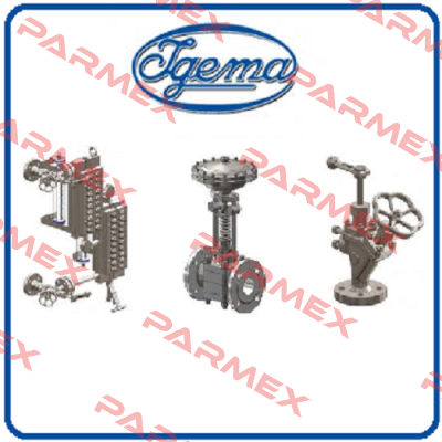 FLB 1 /20-00035 Igema