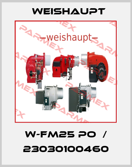 W-FM25 PO  / 23030100460 Weishaupt