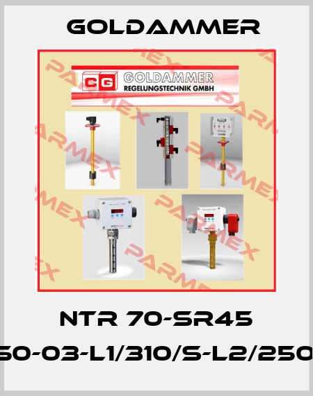 NTR 70-SR45 K3-A-VM-L450-03-L1/310/S-L2/250/S-I-MS-24V Goldammer