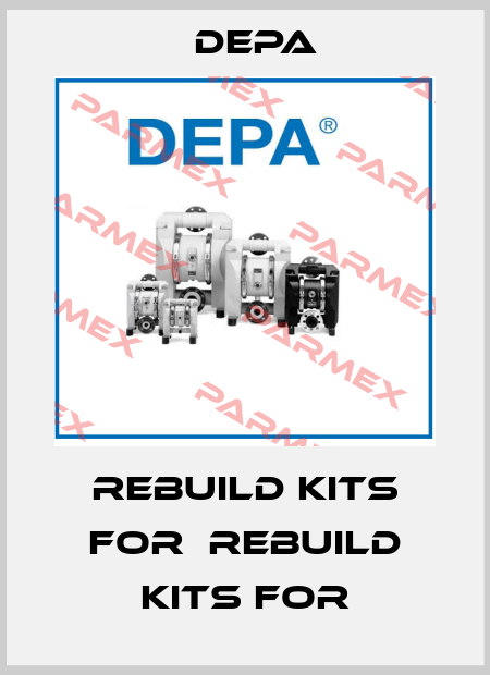 rebuild kits for  rebuild kits for Depa
