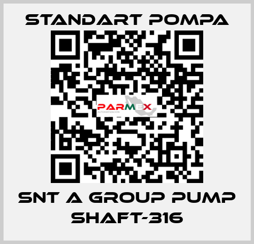 SNT A GROUP PUMP SHAFT-316 STANDART POMPA