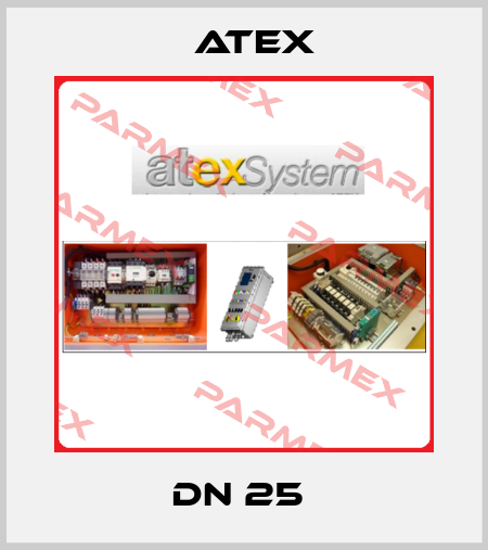DN 25  Atex