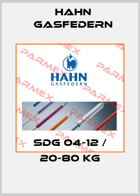 SDG 04-12 / 20-80 kg Hahn Gasfedern