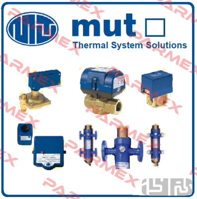 SFS 1-140 M1 G 1/4" IP40 Mut Meccanica Tovo SpA