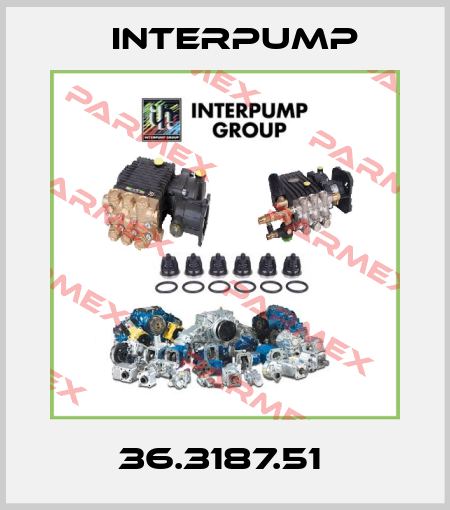 36.3187.51  Interpump