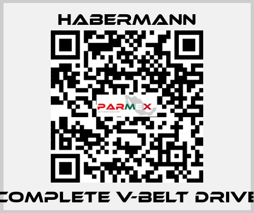 Complete V-belt drive HABERMANN