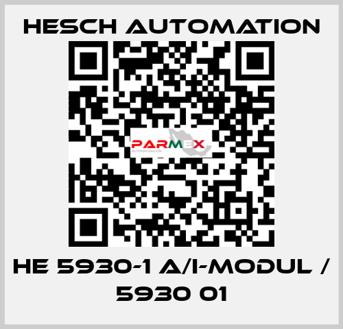 HE 5930-1 A/I-Modul / 5930 01 Hesch Automation