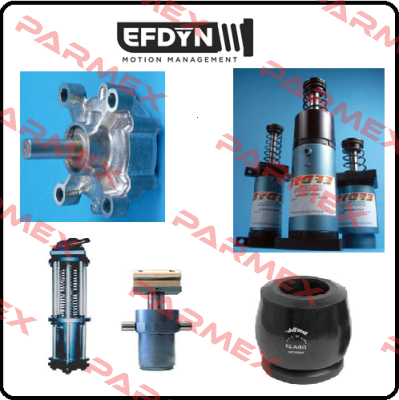 P05A-0012 EFDYN