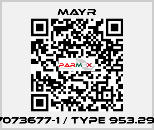 7073677-1 / Type 953.291 Mayr