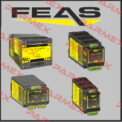 52003 / RZM01-100 Feas