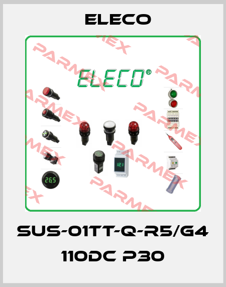 SUS-01TT-Q-R5/G4 110DC P30 Eleco