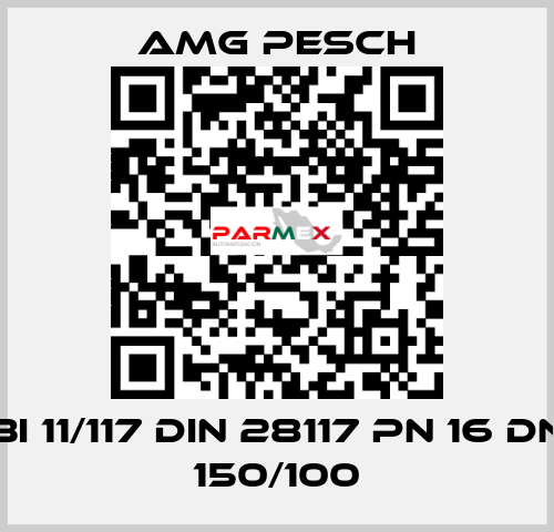 BI 11/117 DIN 28117 PN 16 DN 150/100 AMG Pesch