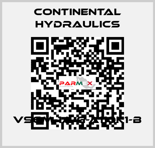 VS6M-1A-G-A110K1-B Continental Hydraulics