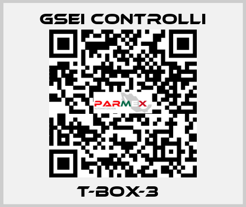 T-BOX-3Т GSEI Controlli